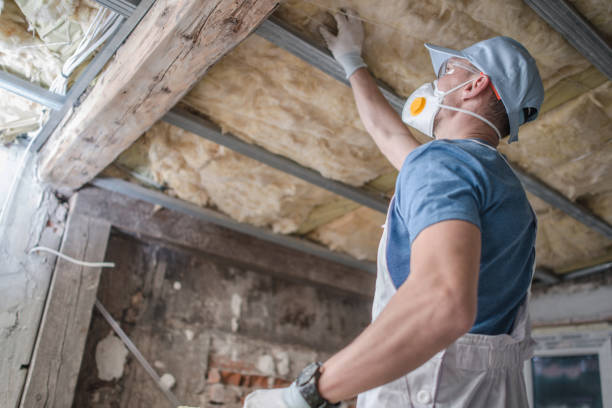 Best Spray Foam Insulation in The Hills, TX