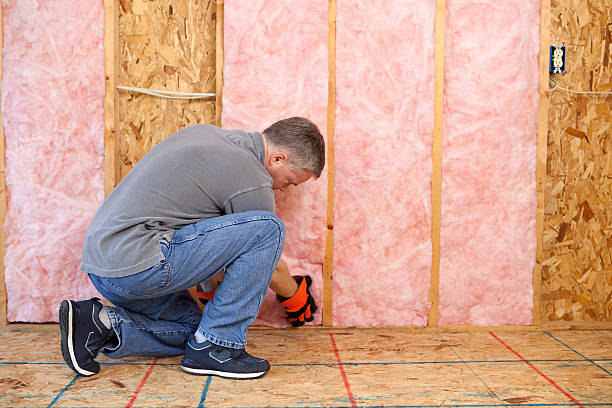 Best Spray Foam Insulation in The Hills, TX